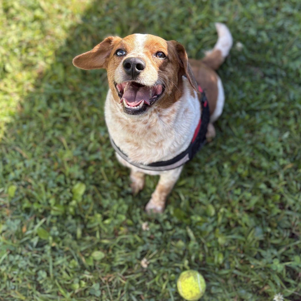 Benny
