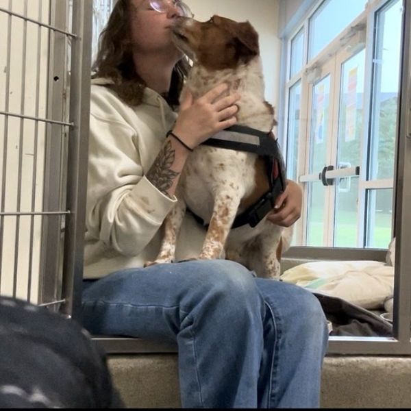 Benny thumbnail 3