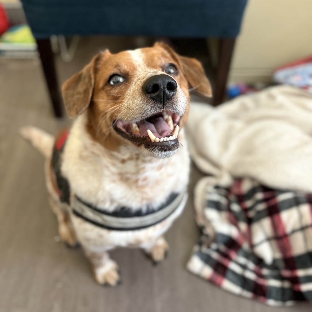 Benny