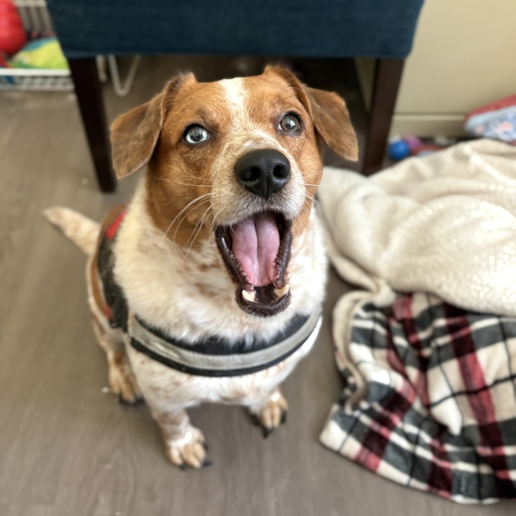 Benny