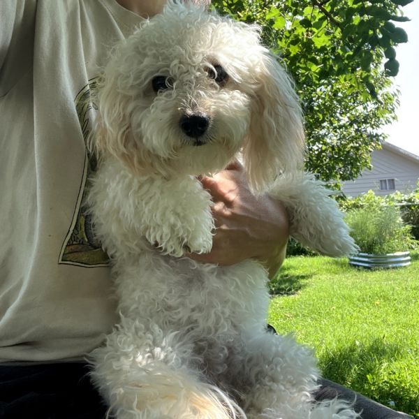 Oakley