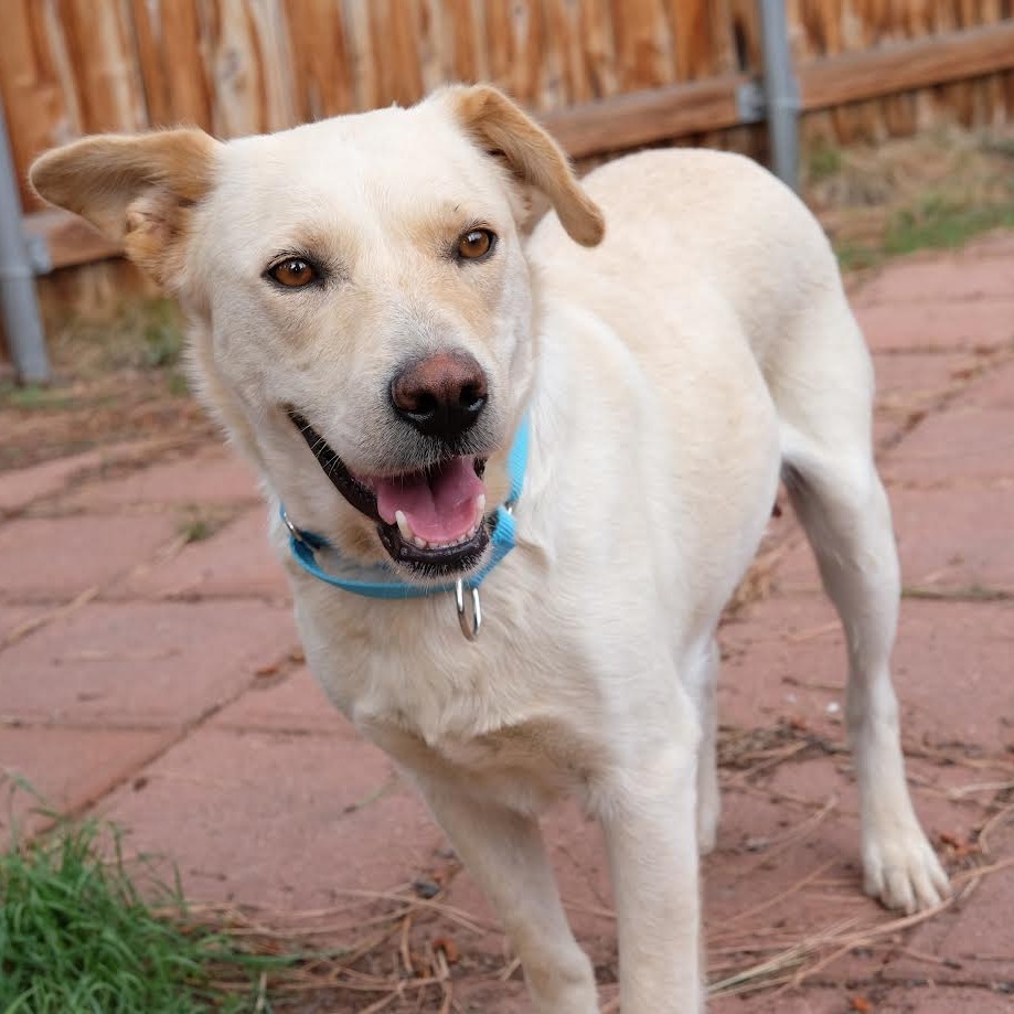 Mary - Prettiest Girl!
