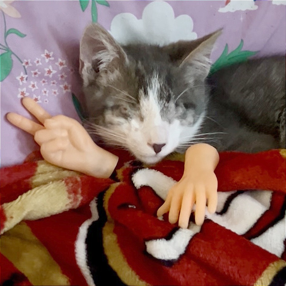 Felix