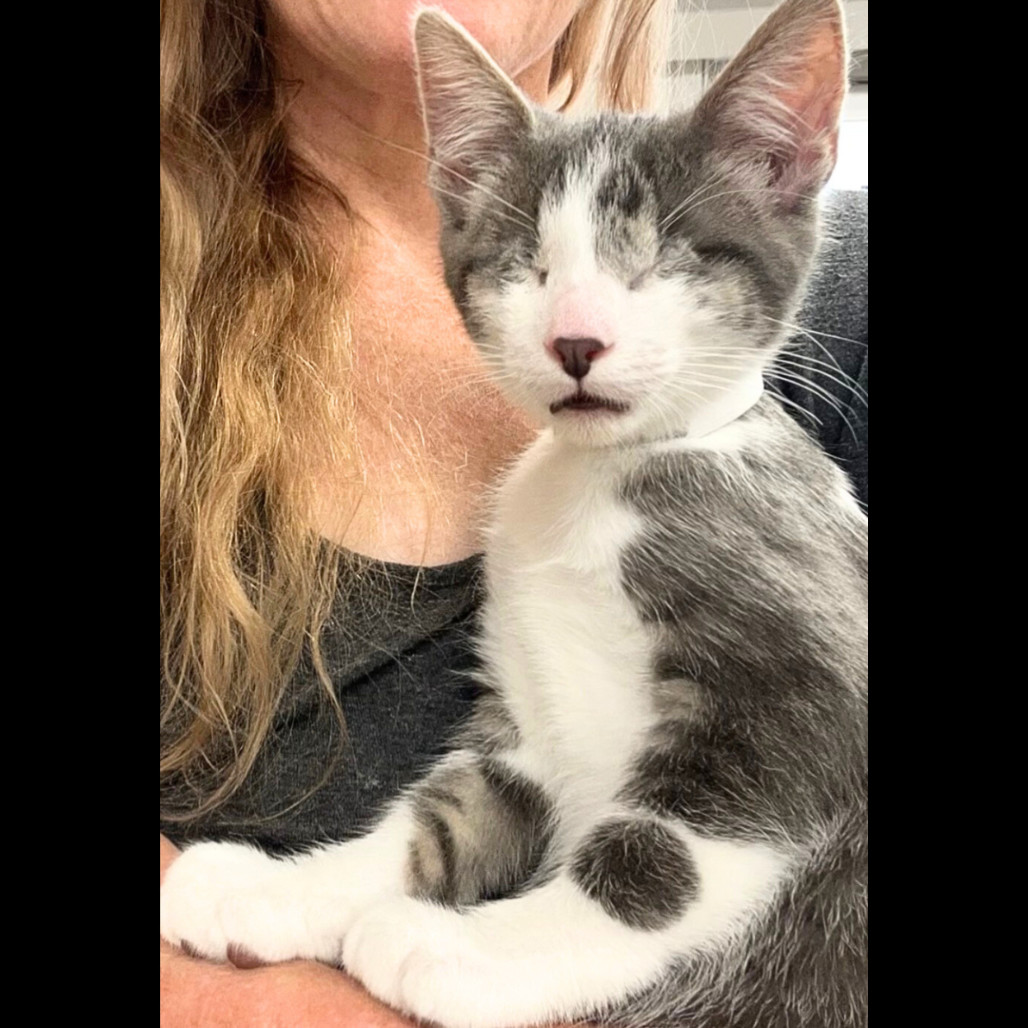 Felix