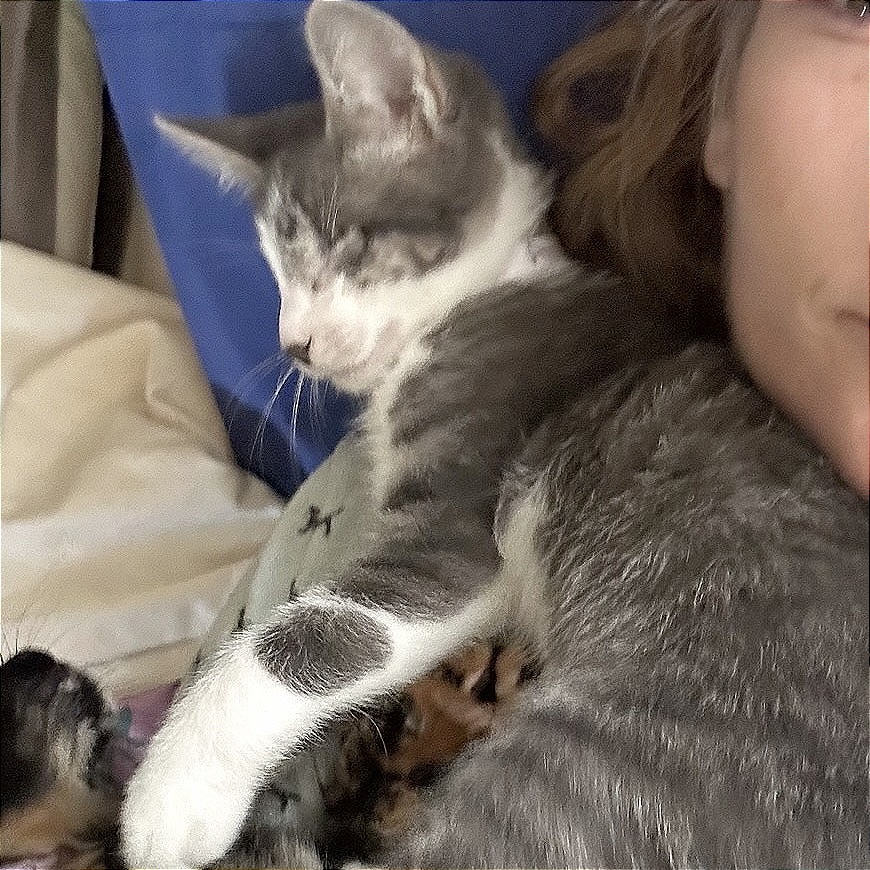 Felix