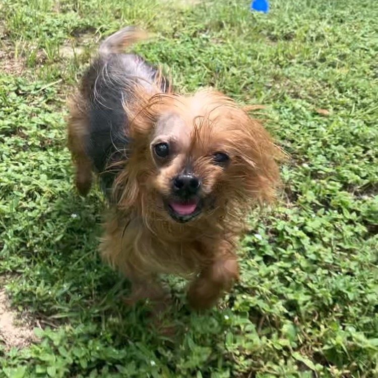 Bonnie