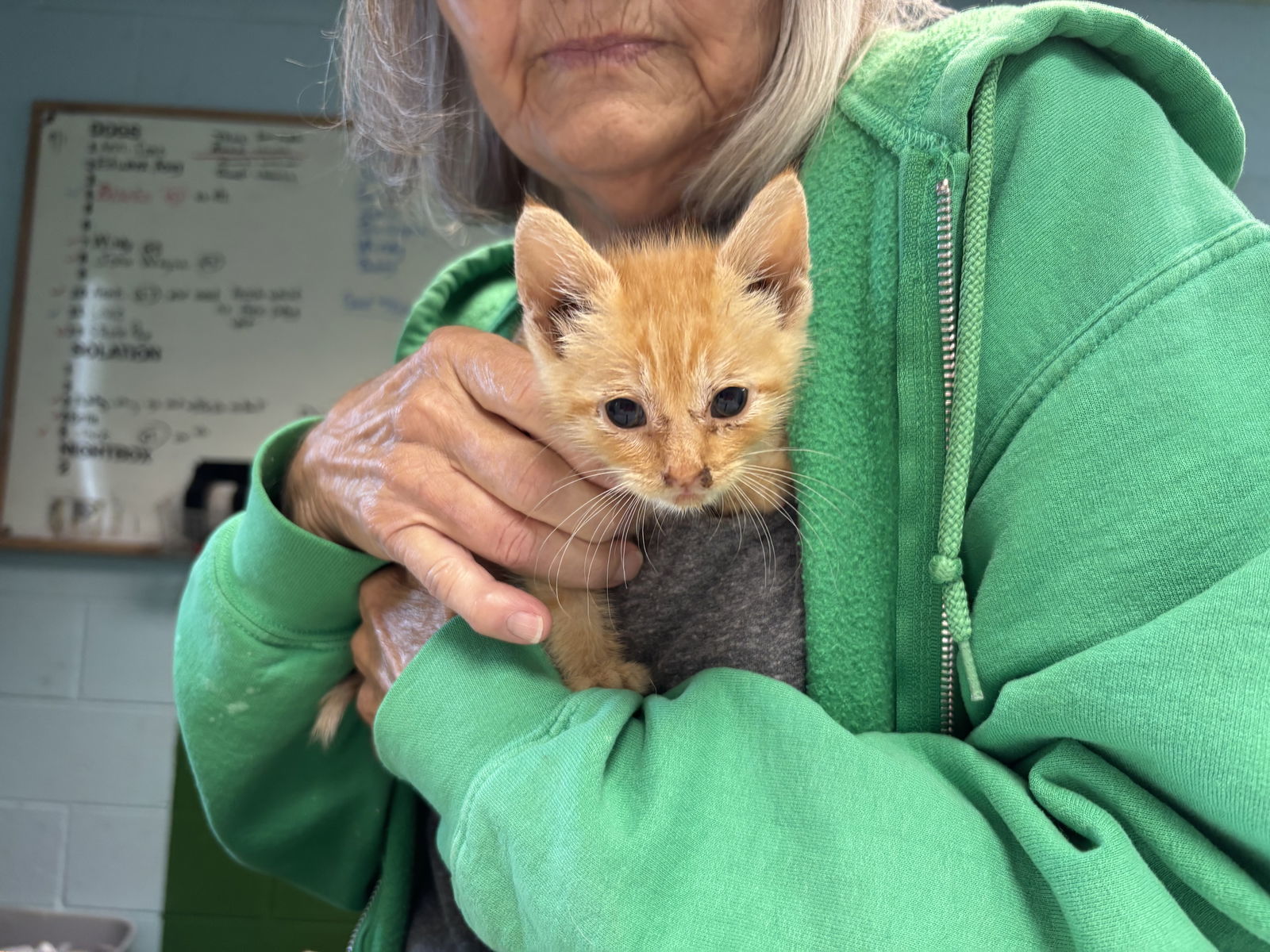 Sir Reginald Squash: Fostered (Joan)