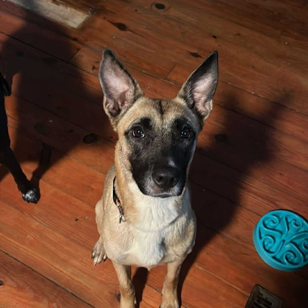 Freyja