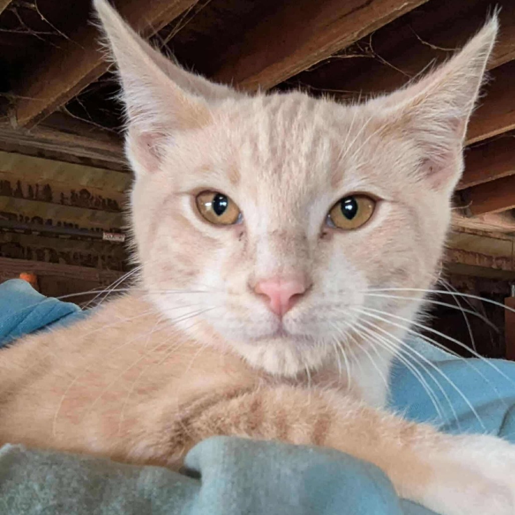 Erik