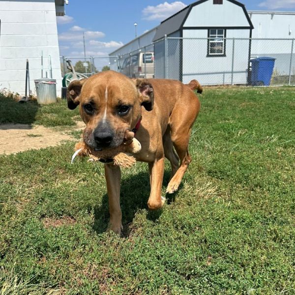 Honey Bun thumbnail 5