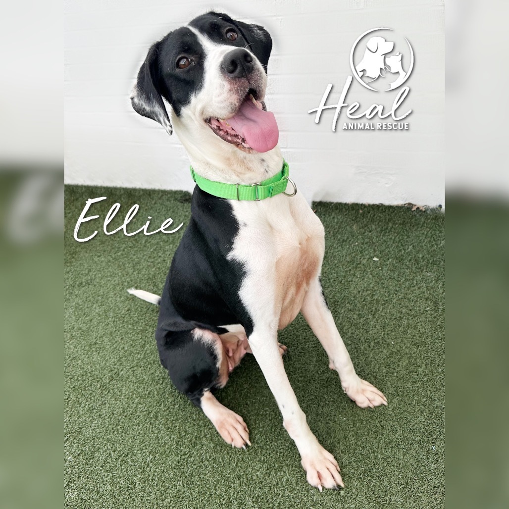 Ellie