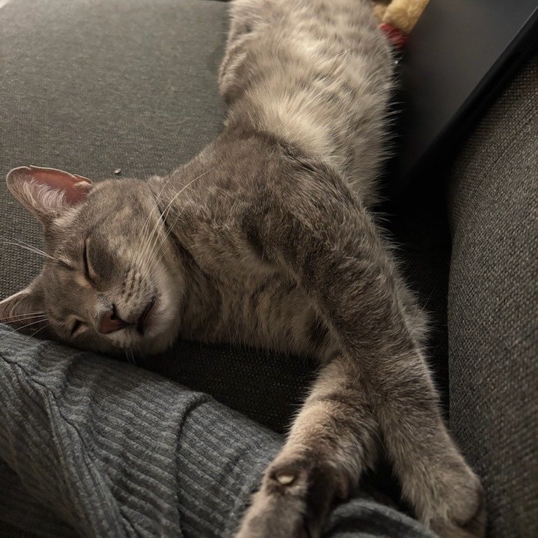 Percival