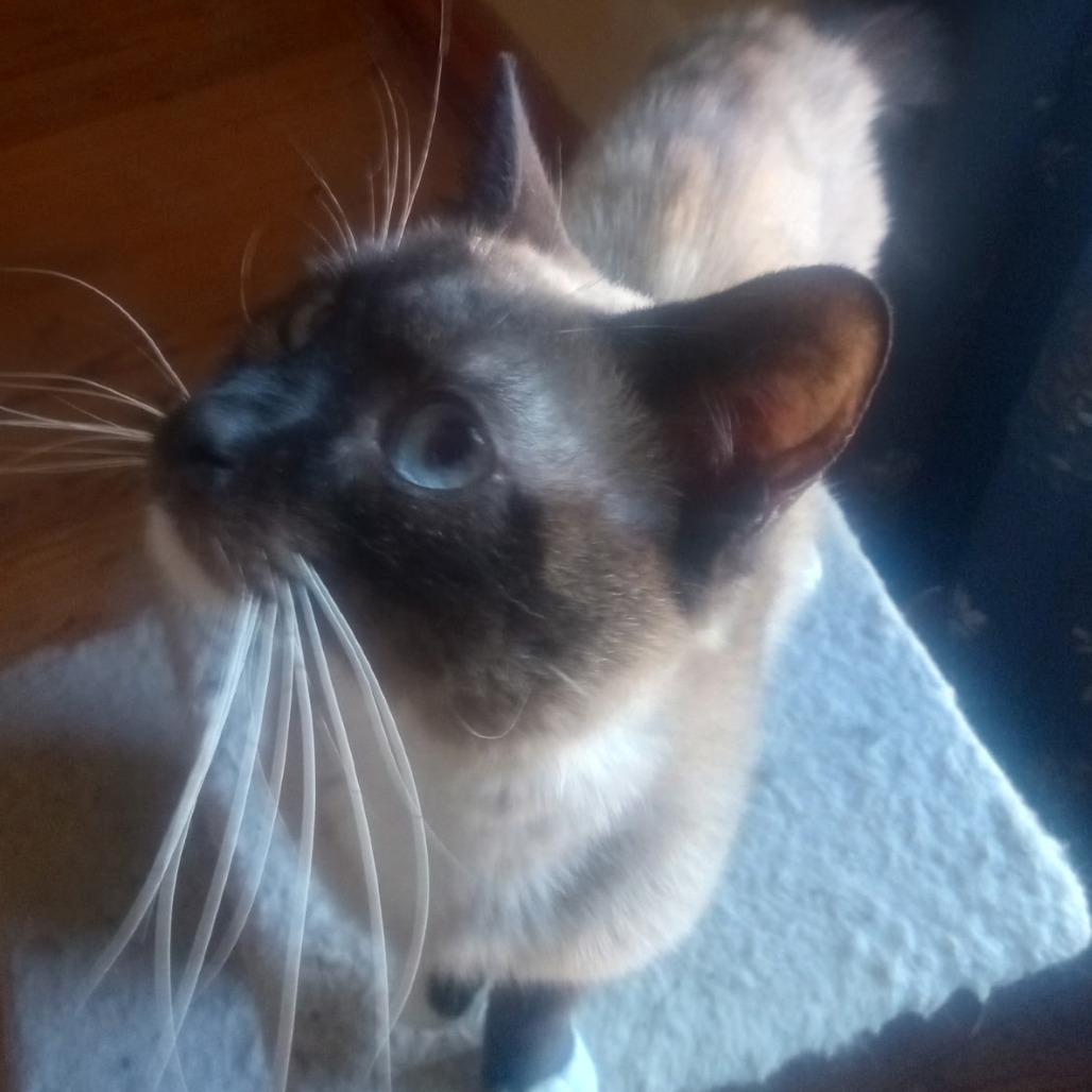 Julian