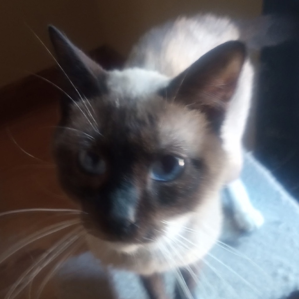 Julian