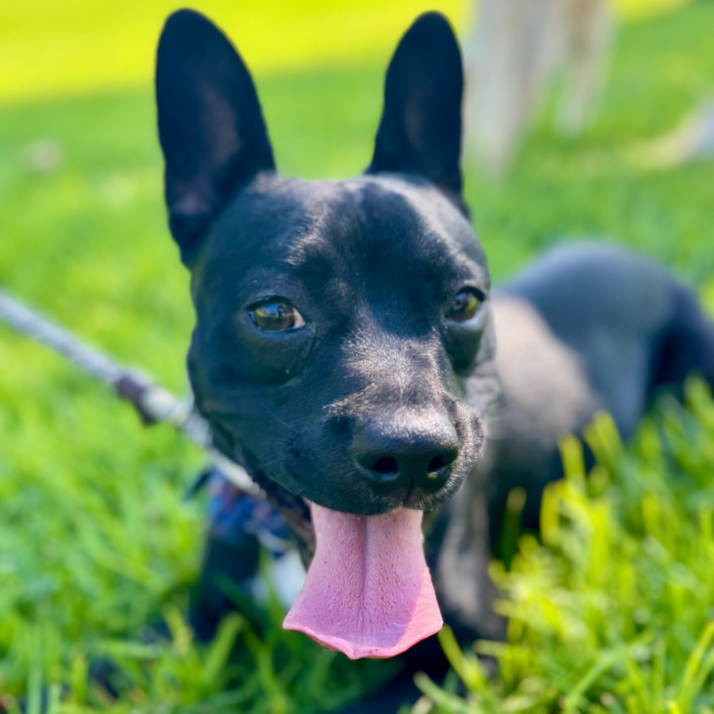 Bruce - Chino Hills Location