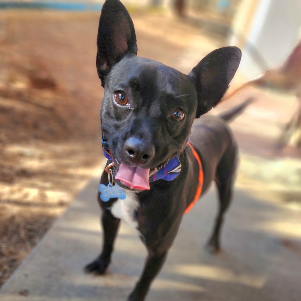 Bruce - Chino Hills Location