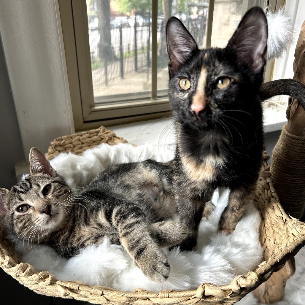 Stoke & Toke - We're a bonded pair!