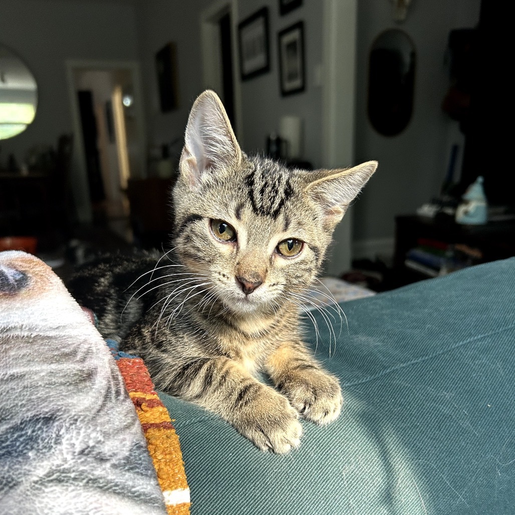 Stoke & Toke - We're a bonded pair!
