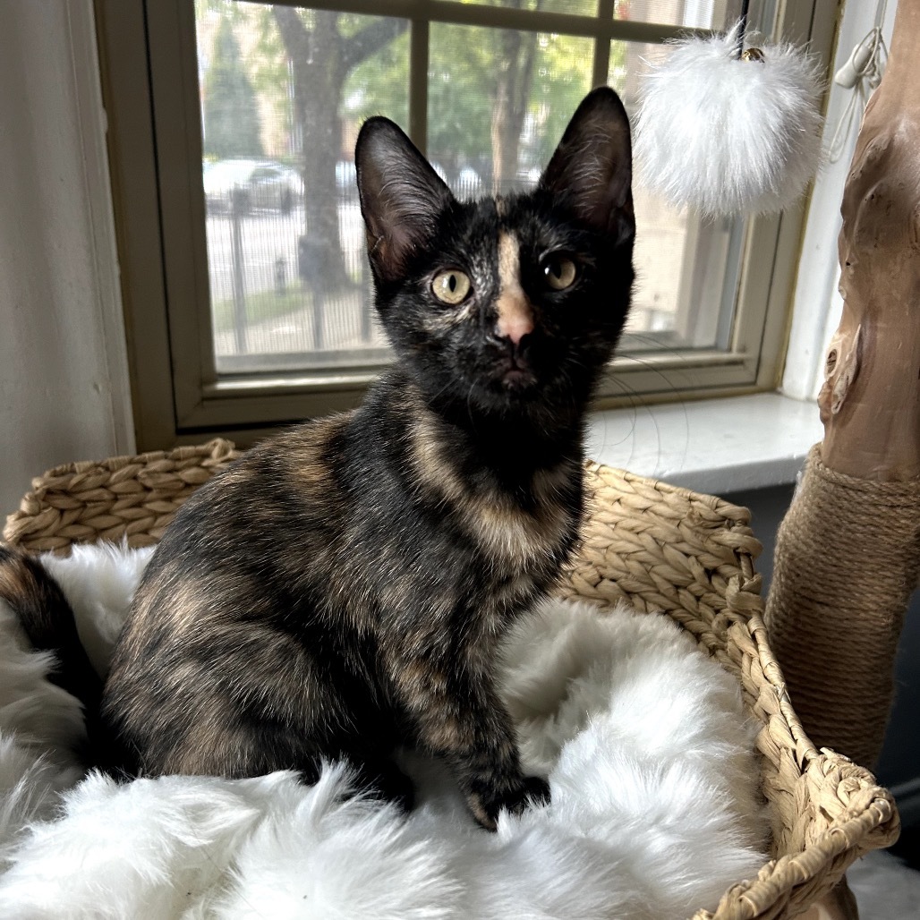 Stoke & Toke - We're a bonded pair!