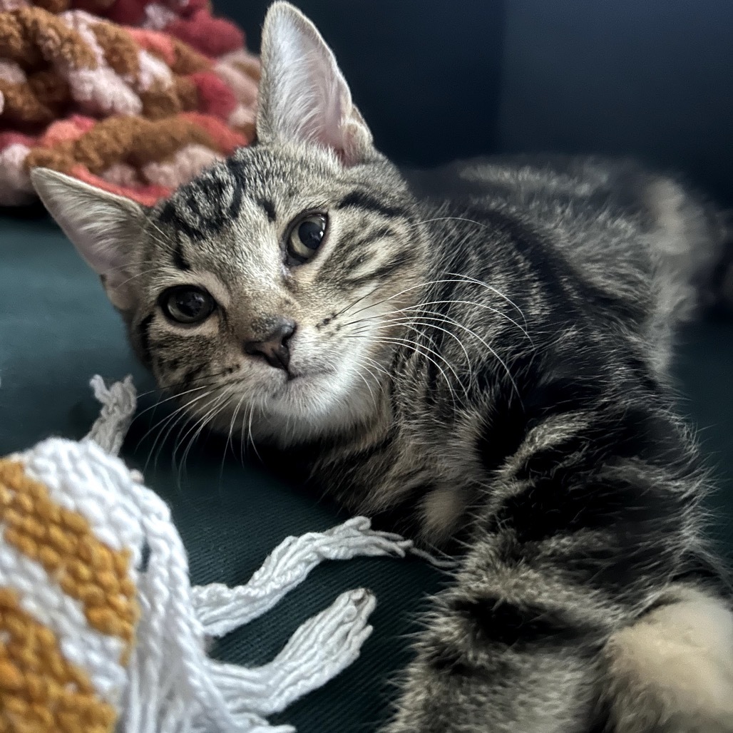 Stoke & Toke - We're a bonded pair!