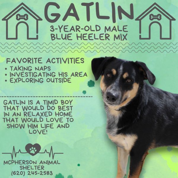 Gatlin