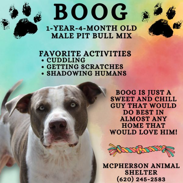 Boog