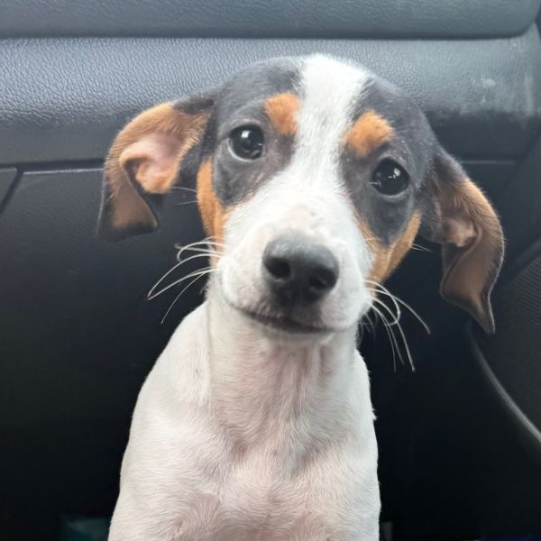 Fiona