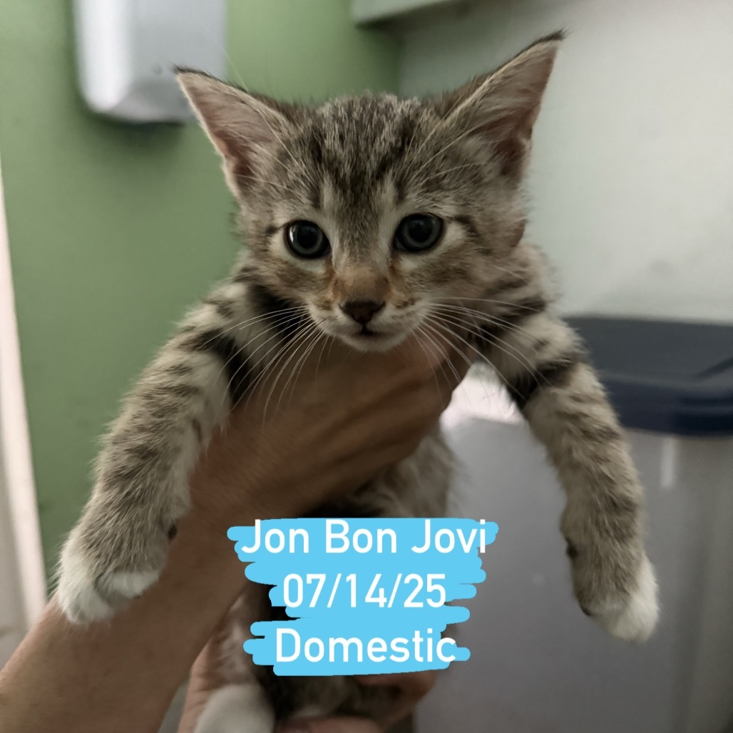 Jon Bon Jovi