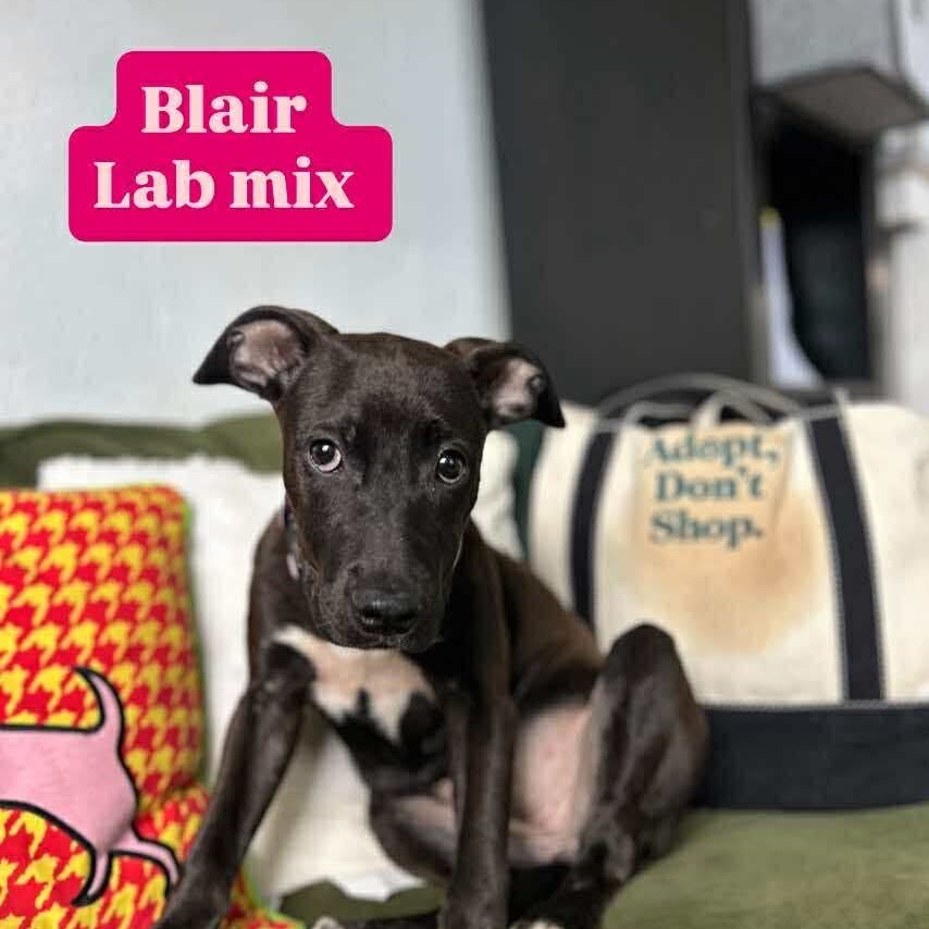 Blair