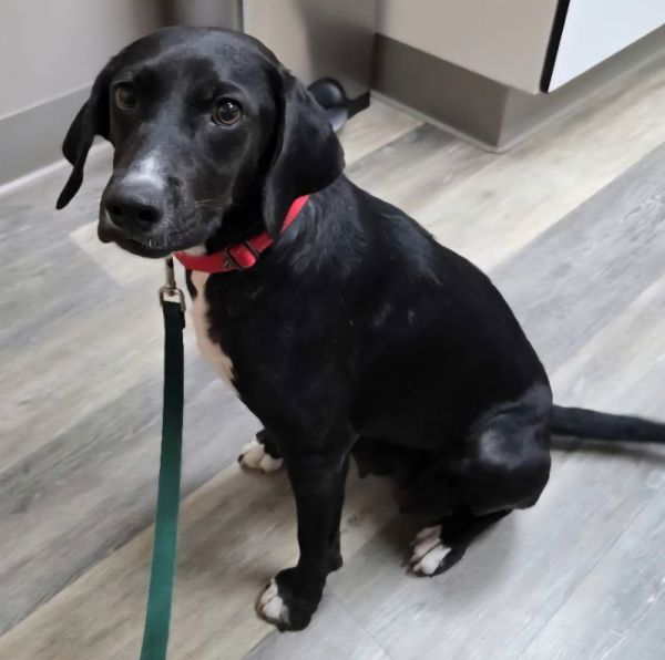 Sunshine thumbnail 2