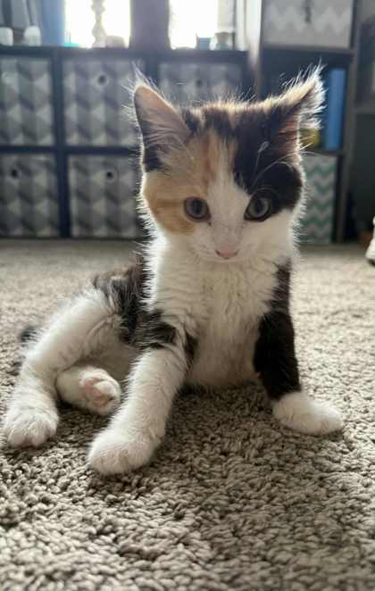 Emmie