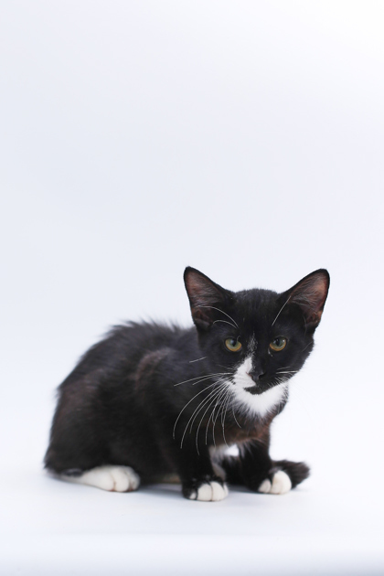 Onyx