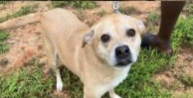 Pheobie Haven bonded with Maxus Haven