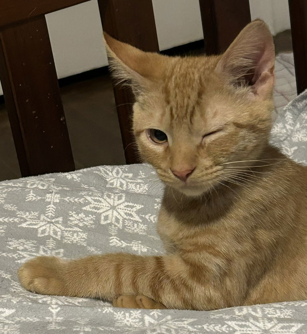 Sam