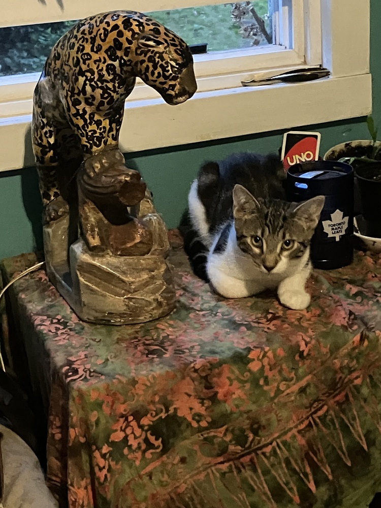 Cinder