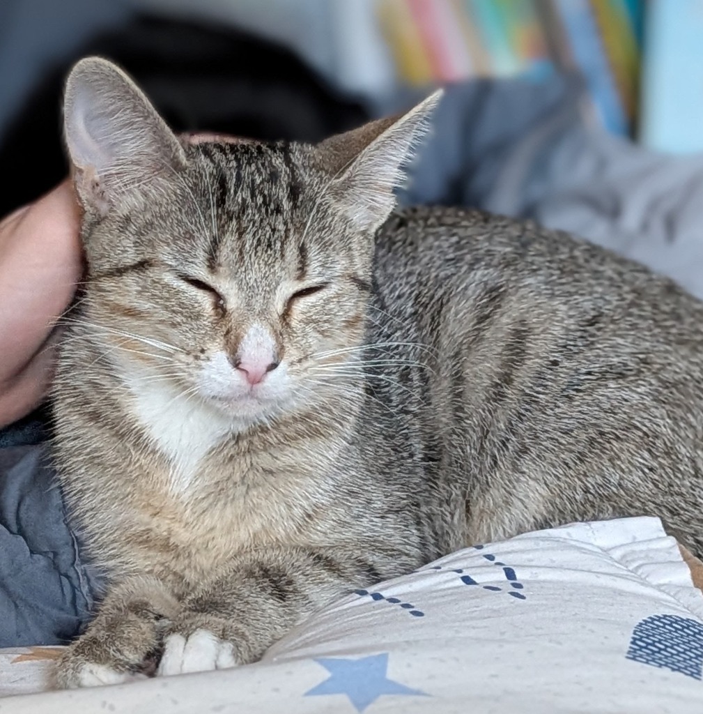 Isla