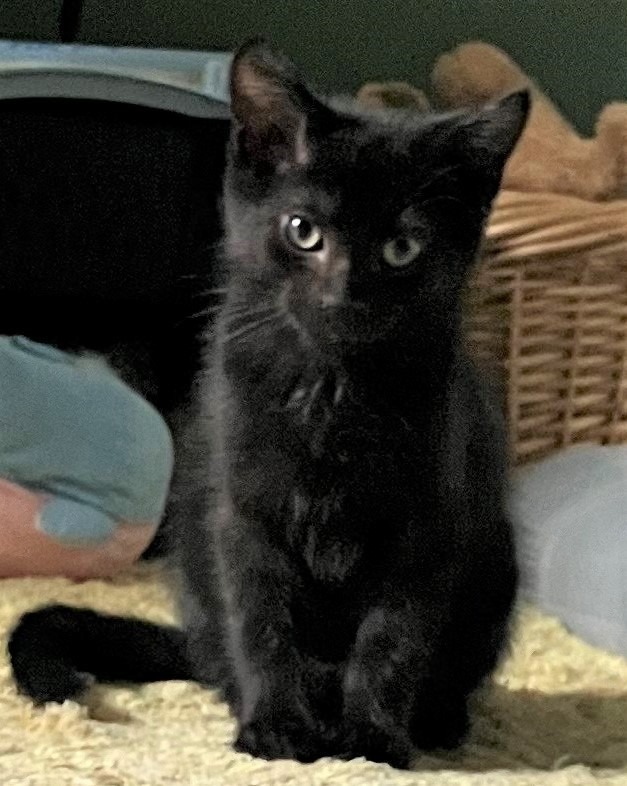 Lil' Smokey (fka Jade)