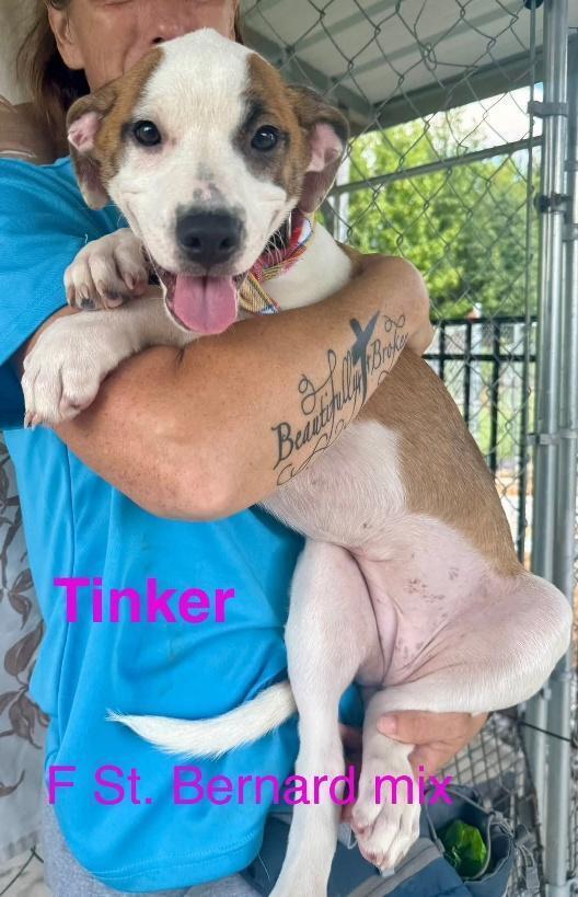 Tinker
