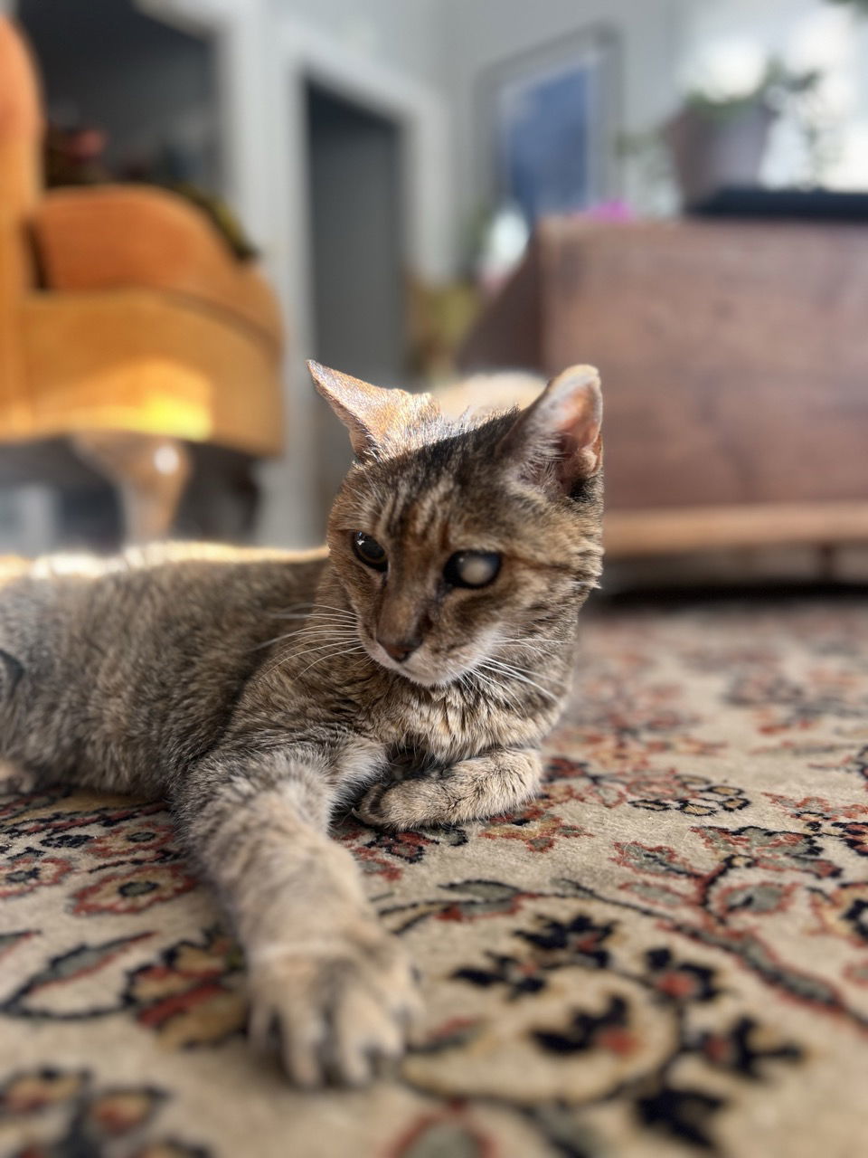 Frances