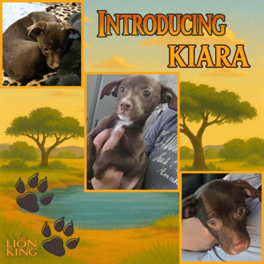 Kiara