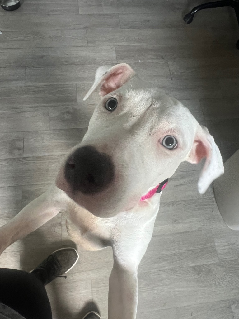 Fiona