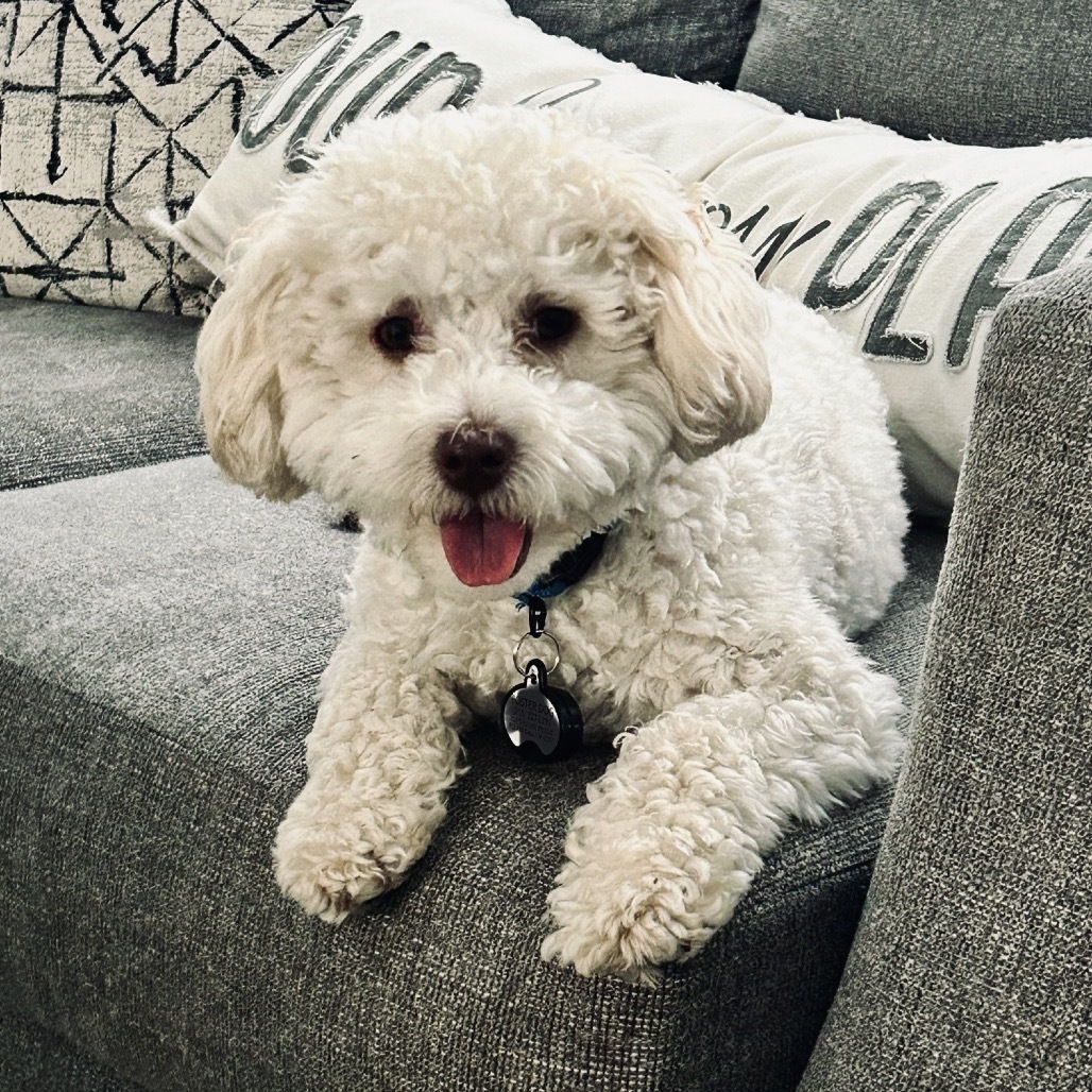Tucker