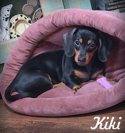 Kiki