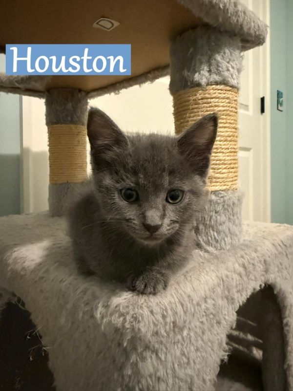 Houston