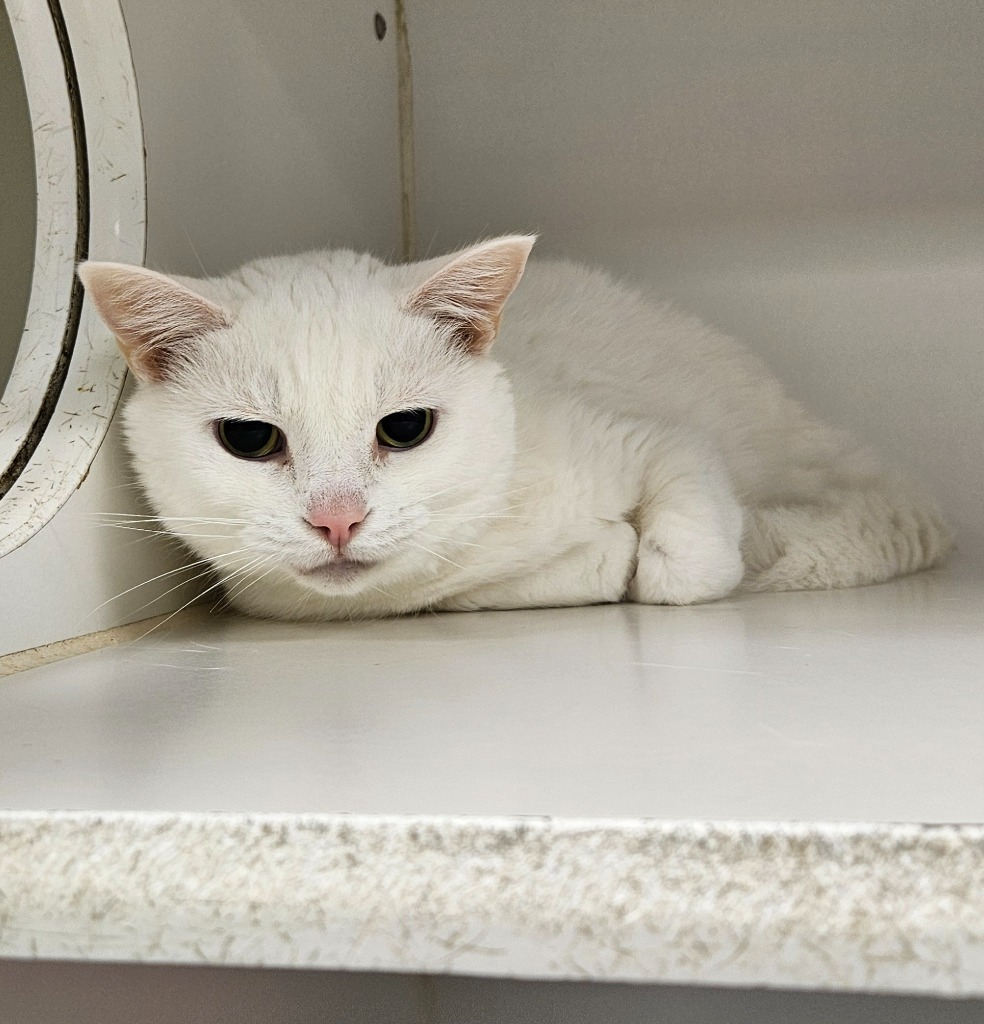 Cassie Marie (Sells Ave)