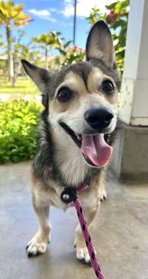 Milo