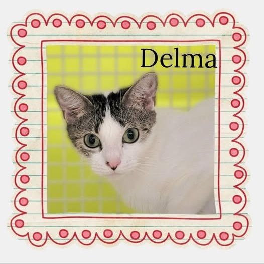 Delma
