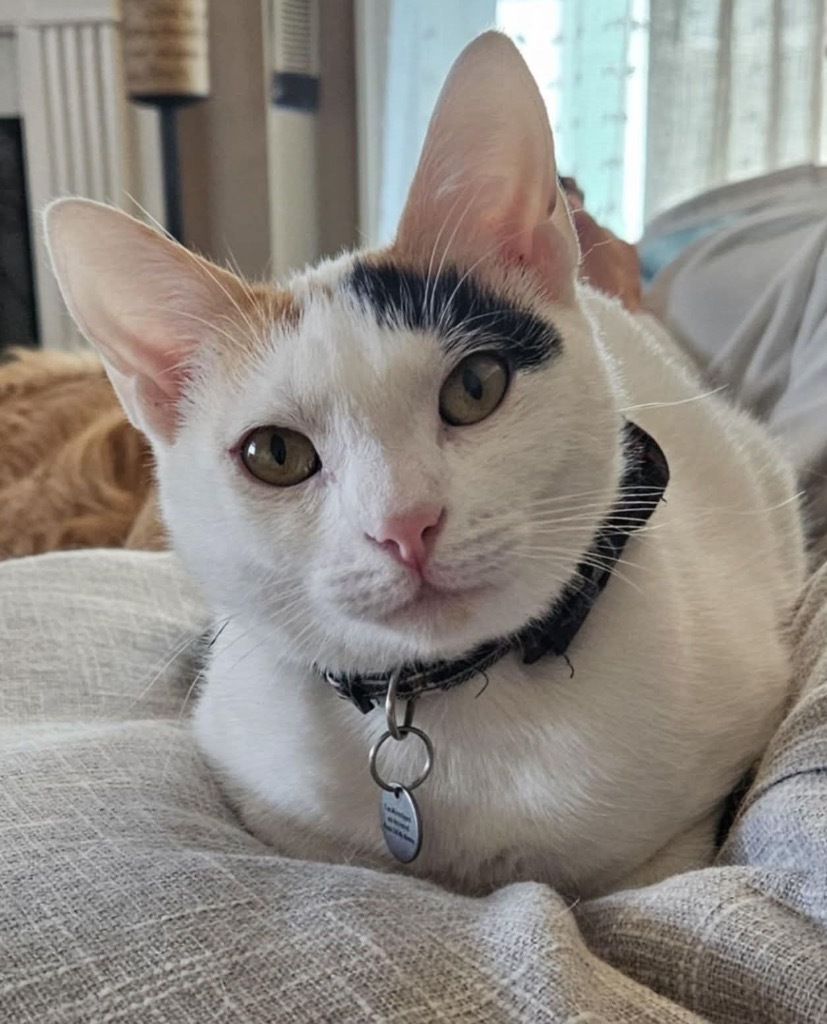 Matilda Jane