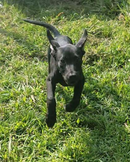 Prue