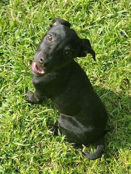 Prue